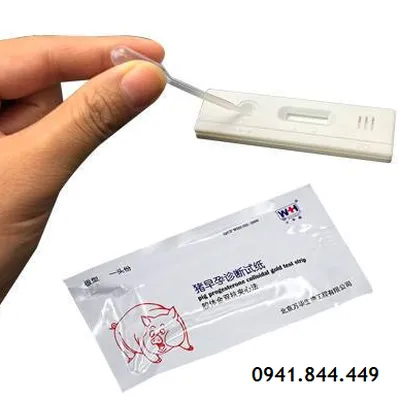 QUE THỬ THAI HEO CHÍNH XÁC 90%