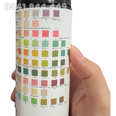 QUE XÉT NGHIỆM NƯỚC TIỂU 10 THÔNG SỐ URS-10 (MỸ)