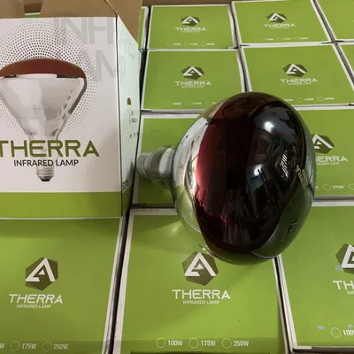 BÓNG ĐÈN HỒNG NGOẠI THERRA 5000H CAO CẤP