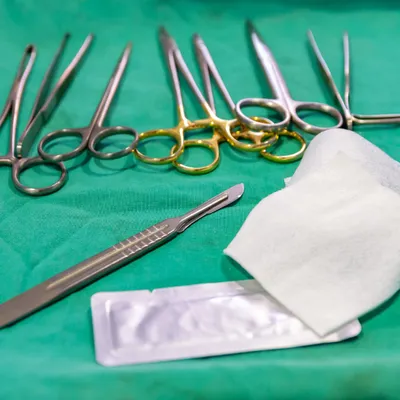 THỜI ĐIỂM LÝ TƯỞNG ĐỂ THIẾN GIA CẦM VÀ GIA SÚC: BÍ QUYẾT CHĂM SÓC TỐT CHO ĐỘNG VẬT CỦA BẠN