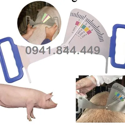 THƯỚC ĐO ĐỘ DÀY MỠ LƯNG TIỆN LỢI