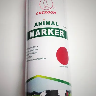 SƠN XỊT ĐÁNH DẤU VẬT NUÔI KHÔNG CHẤT ĐỘC HẠI