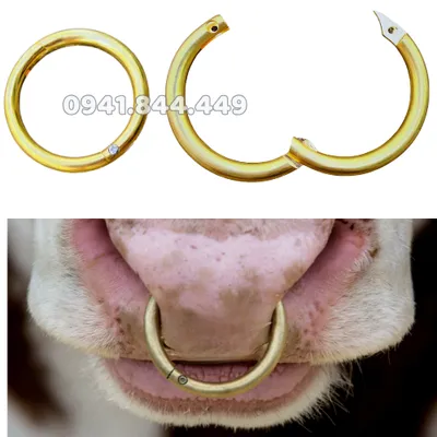 VÒNG XỎ MŨI BÒ BẰNG ĐỒNG 