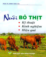 NUÔI BÒ THỊT
