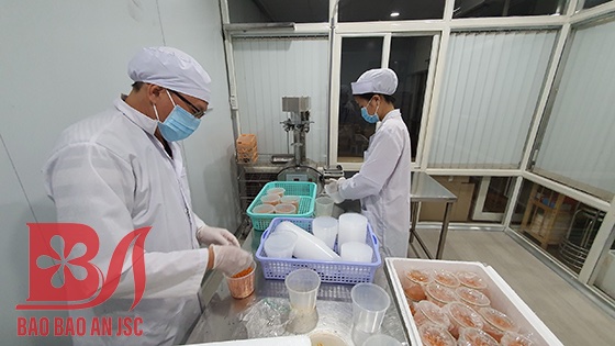 Đóng gói vô trùng Đông trùng hạ thảo tươi