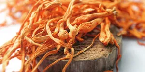 BỔ DƯỠNG VÀNG TỪ TRÀ ĐÔNG TRÙNG HẠ THẢO