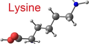 Lysine là gì? Vai trò của Lysine đối với trẻ nhỏ như thế nào?