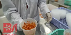 ĐỐI TƯỢNG NÊN VÀ KHÔNG NÊN SỬ DỤNG ĐÔNG TRÙNG HẠ THẢO