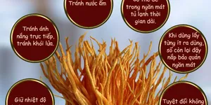 BẢO QUẢN ĐÔNG TRÙNG HẠ THẢO NHƯ THẾ NÀO?