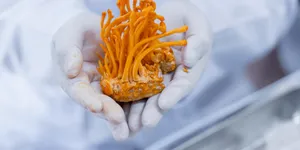 THỜI GIAN CHO BÀ BẦU ĂN ĐÔNG TRÙNG HẠ THẢO