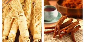 Phân biệt hồng sâm và nhân sâm – Vì sao hồng sâm an toàn hơn nhân sâm