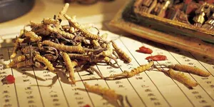 TRẺ EM CÓ DÙNG ĐÔNG TRÙNG HẠ THẢO ĐƯỢC KHÔNG?