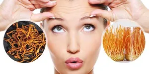 ĐÔNG TRÙNG HẠ THẢO CÓ THẬT SỰ TỐT TOÀN VẸN?