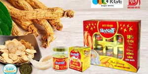 Hồng sâm - vị thuốc quý cho sức khoẻ cả gia đình