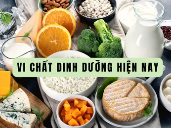 Tình Trạng Vi Chất Dinh Dưỡng Hiện Nay