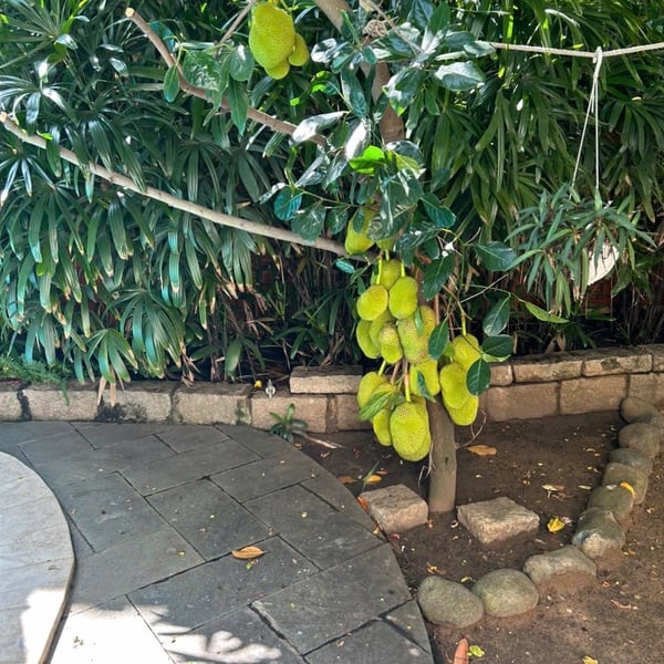 Bán biệt thự 146E9 Nguyễn Văn Hưởng, Thảo Điền, Quận 2