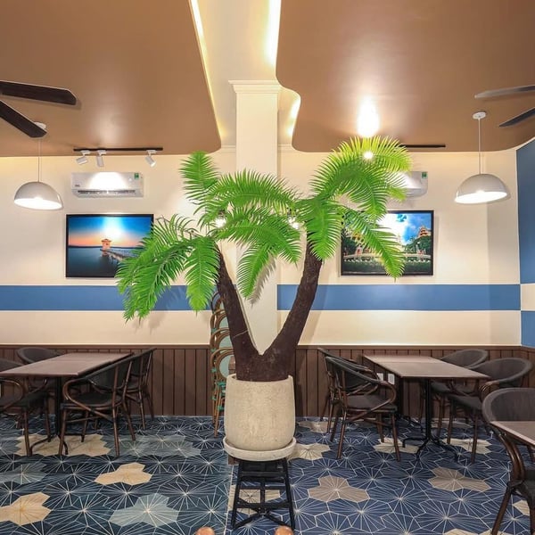 Bán nhà 64 Hồ Biểu Chánh, P. Phú Nhuận, Quận Phú Nhuận 