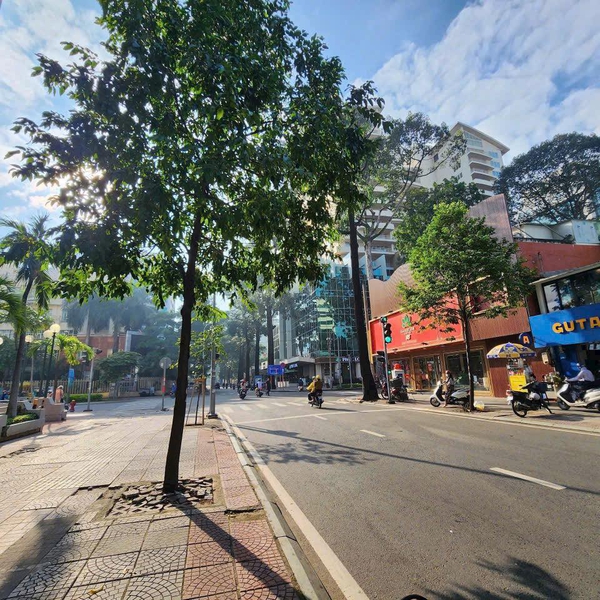 Bán tòa nhà 19 - 21 - 23 Mạc Đĩnh Chi, Phường Đa Kao, Quận 1