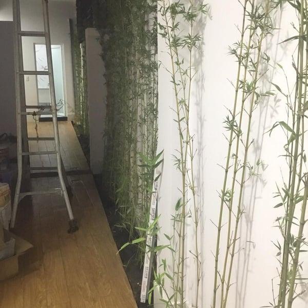 Biệt thự Nguyễn Văn Linh, bình thuận, 17.65m x 29m