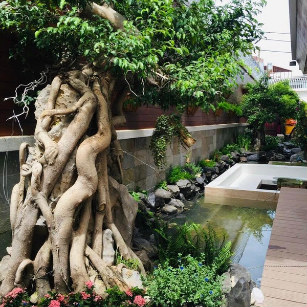 Biệt thự 3 tầng Kiều Đàm , 14m x 26m