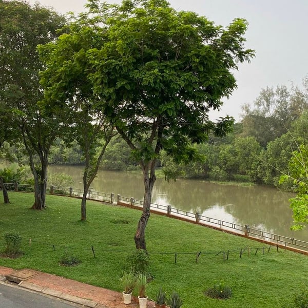 Nhà 4 tầng khu An Phú Hưng 7m x 15m view công viên và sông 