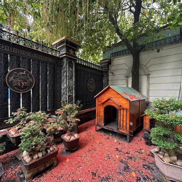 Bán biệt thự 8 Nguyễn Thông, Phường Võ Thị Sáu, Quận 3