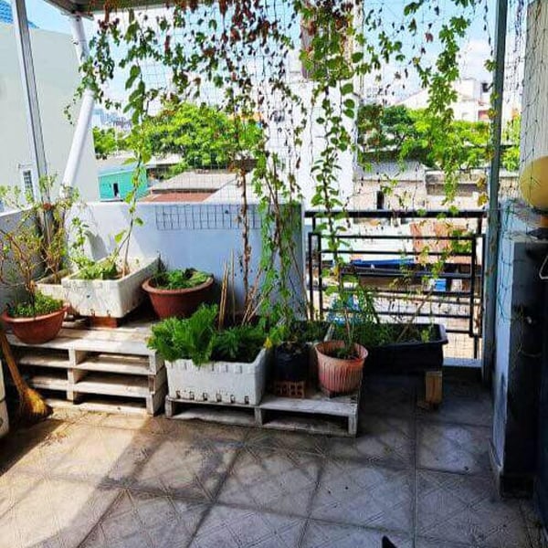 Nhà 3T hẻm Trần Xuân Soạn, 3,3m x 9,5m