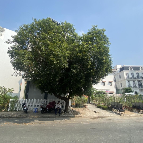 Đất đường Đặng Đức Thuật - Phú Mỹ Hưng 21m x 18m