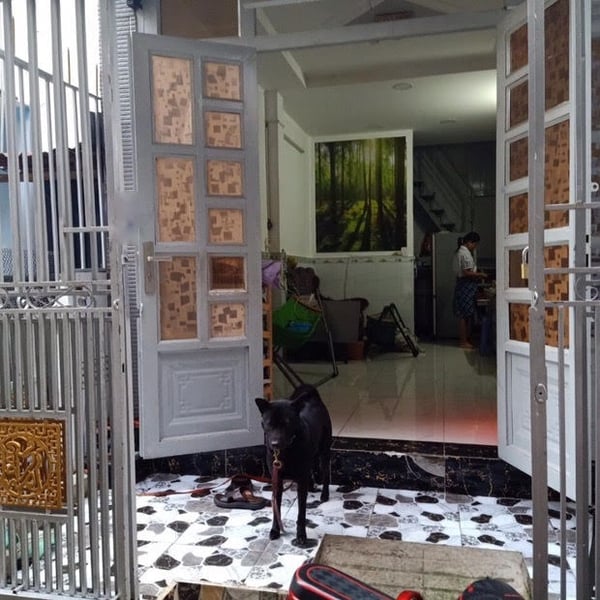 Nhà hẻm Tân mỹ , tân thuận tây 3m x 11m