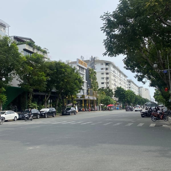 Biệt thự 2 mặt tiền Bùi Bằng Đoàn 12m x 18,5m