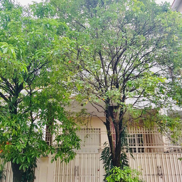 Biệt thự Him Lam Tân Hưng Quận 7 giá tốt 10m x 20m