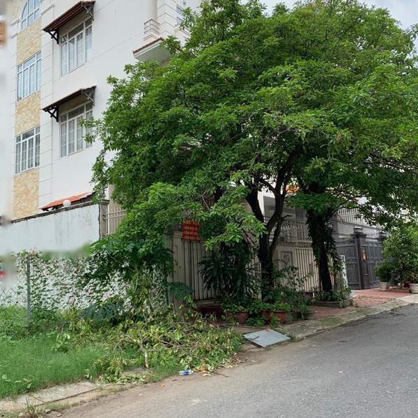 Biệt thự Him Lam Tân Hưng Quận 7 giá tốt 10m x 20m