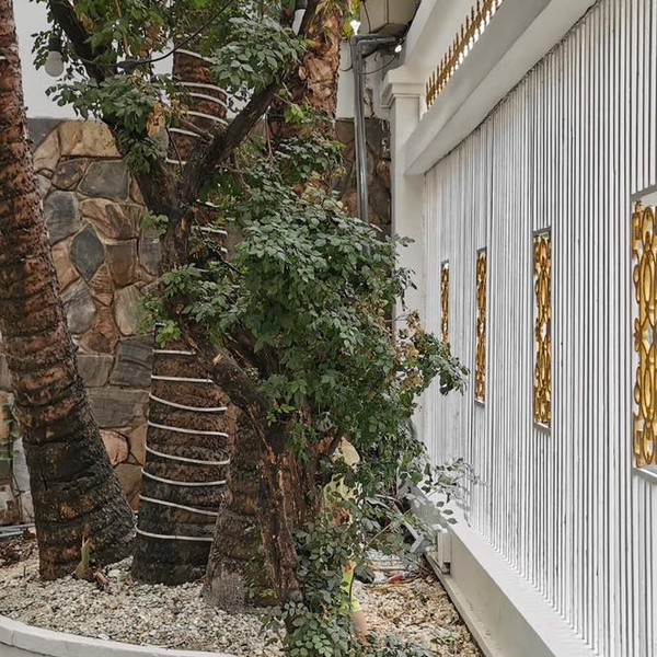 Bán nhà 25 - 27 Đặng Dung, P. Tân Định, Quận 1