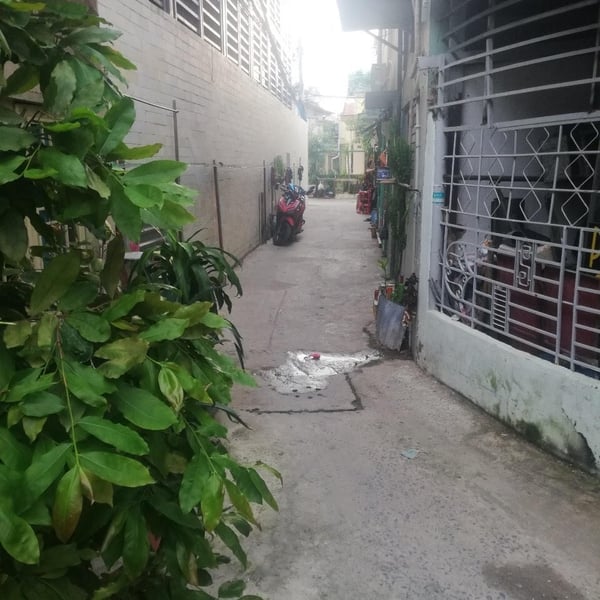 Dãy 11 nhà trọ Nguyễn Thị Thập , Bình Thuận , 4.4 m  x 40m  nở hậu 6.3m 