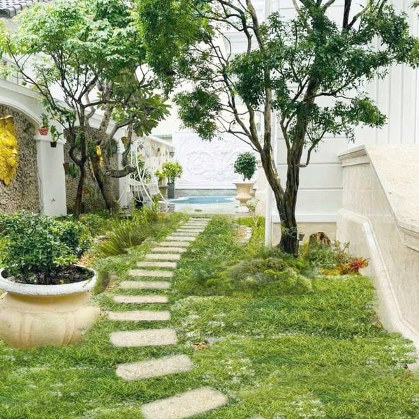 Bán biệt thự Thảo Điền số 8 Đường 42, P. Thảo Điền, Quận 2 cũ - TP. Thủ Đức