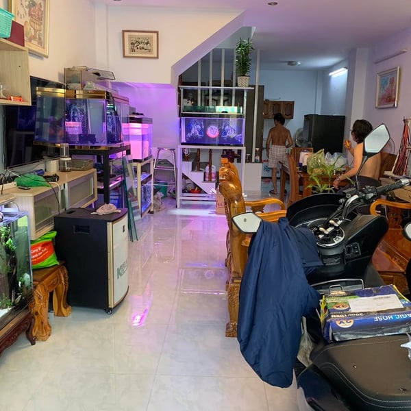 Nhà 4 tầng hẻm 88 Nguyễn Văn Quỳ 4,5m x 12,5m