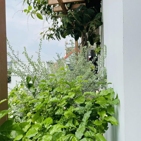 Bán nhà 121 Lê Văn Sỹ, Phường 13, Quận Phú Nhuận