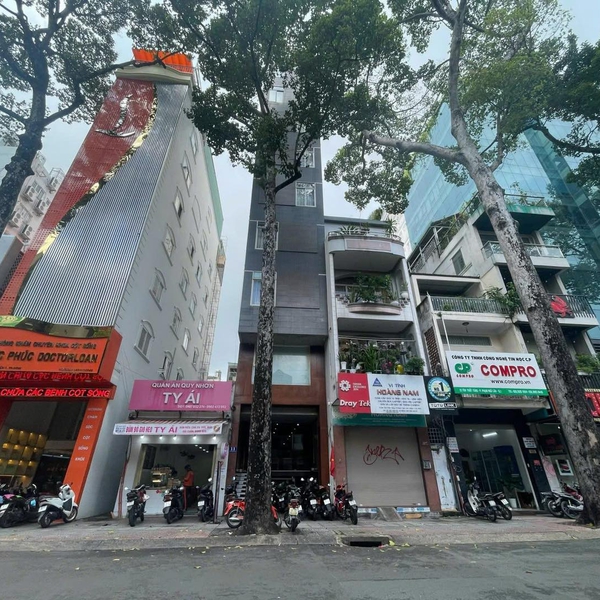 Bán toà nhà 9A Tôn Thất Tùng, P. Phạm Ngũ Lão, Quận 1