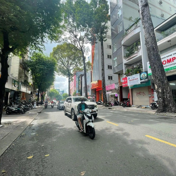 Bán toà nhà 9A Tôn Thất Tùng, P. Phạm Ngũ Lão, Quận 1