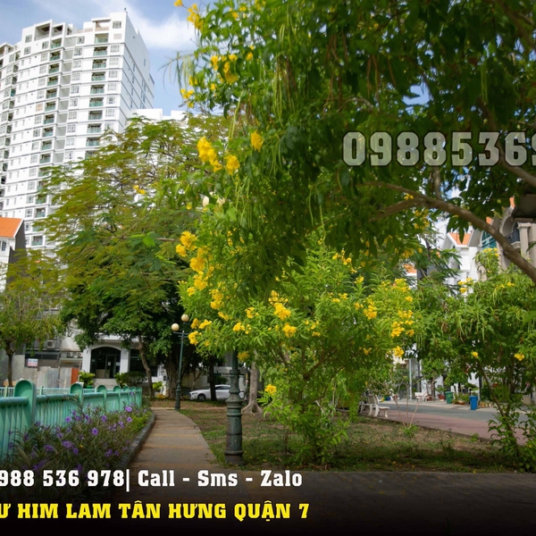 Nhà Him Lam Tân Hưng 5m x 20m giá rẻ