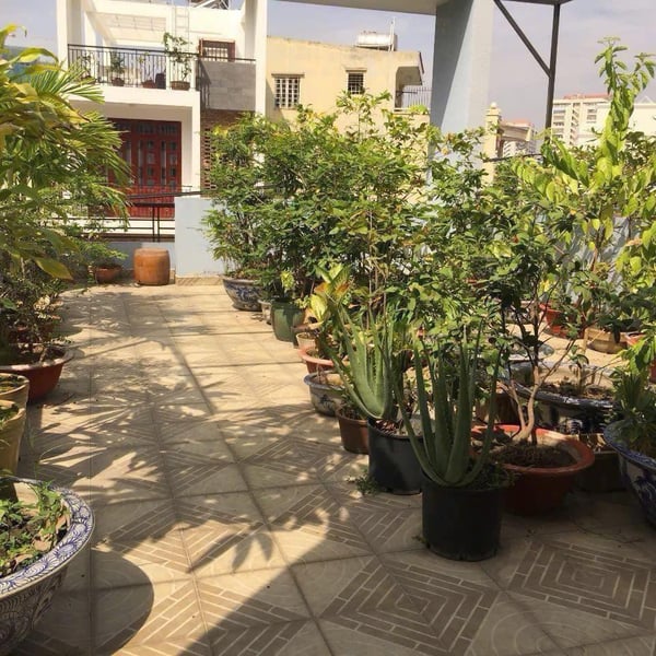 Bán nhà 137 Võ Duy Ninh, P22, Quận Bình Thạnh