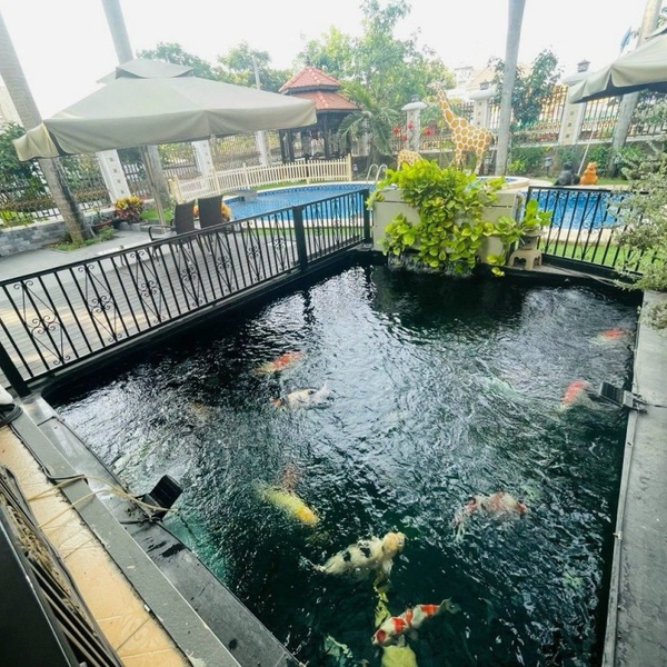 Bán biệt thự 171 Nguyễn Văn Hưởng, Phường Thảo Điền, Quận 2