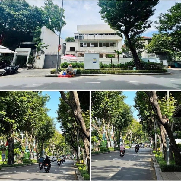 Bán biệt thự 50 Trương Định, P. Xuân Hoà, Quận 3