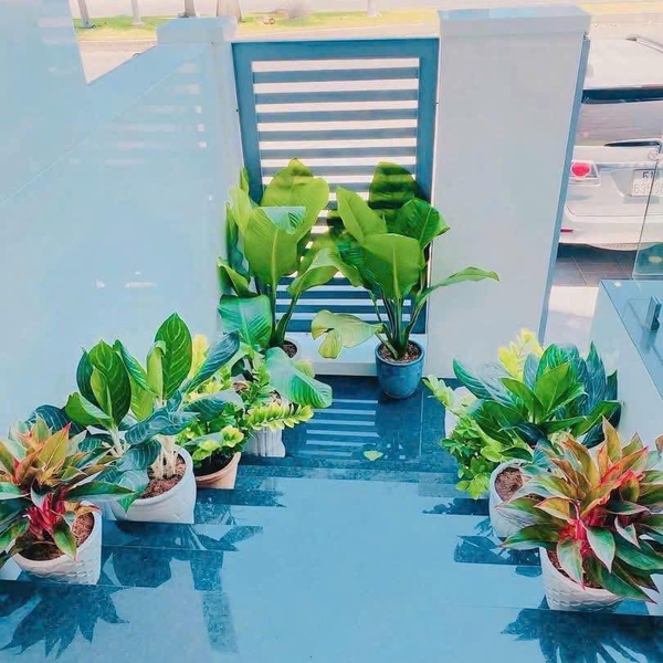 Bán nhà Him Lam số 148 Hoàng Trọng Mậu, P. Tân Hưng, Quận 7