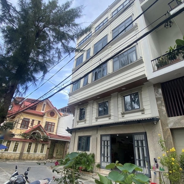 Tòa nhà khai thác dòng tiền Tân Quy Đông 12m x 15m 