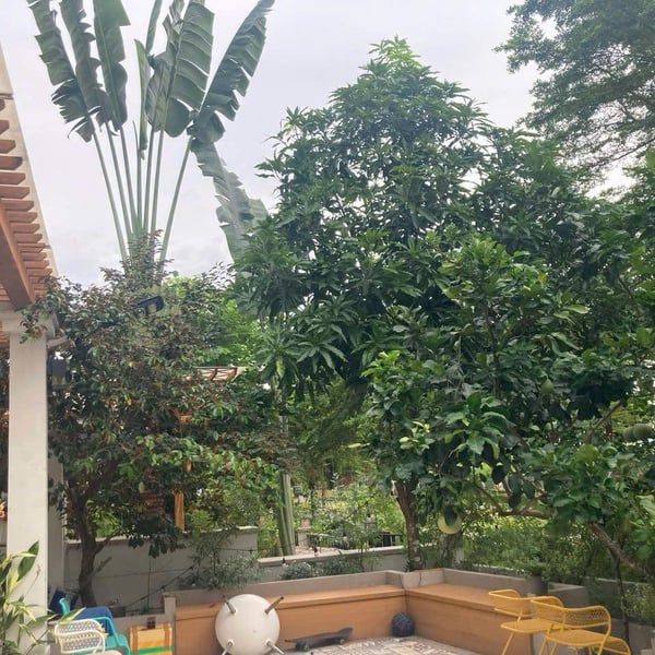 Bán biệt thự Nine South Nhà Bè