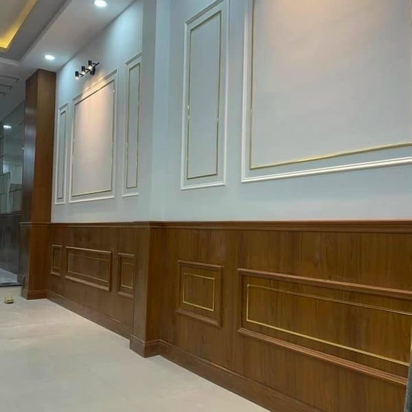 Nhà 4 tầng đường Số Tân Quy 4m x 20m