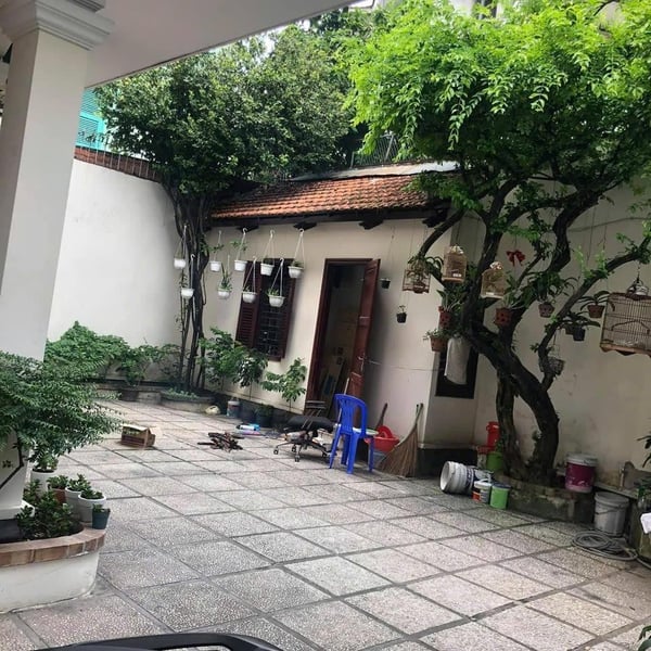 Bán biệt thự 115/4 Trần Quốc Thảo, P. Xuân Hoà, Quận 3