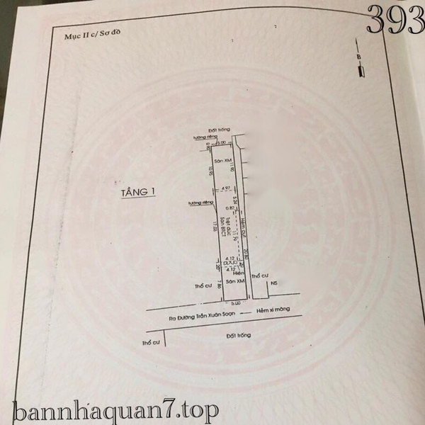 Nhà hẻm XH trần Xuân Soạn, Tân Hưng 5m x 37.9m