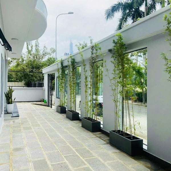 Bán biệt thự 132 Nguyễn Văn Hưởng, Phường Thảo Điền, Quận 2